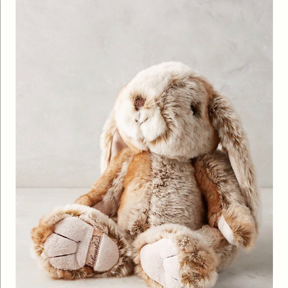ISO Anthropology Buster Bunny